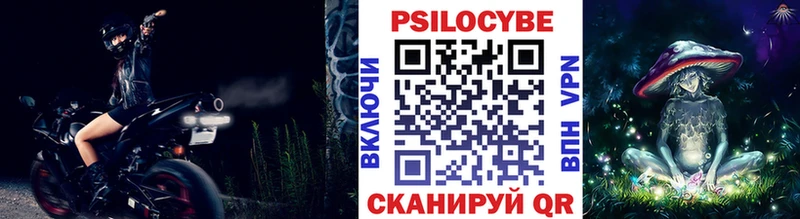 Галлюциногенные грибы Psilocybine cubensis  Таштагол 